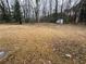 Expansive backyard offering serene views of nature and a storage shed at 987 Forrest Se Cir, Atlanta, GA 30354