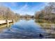 Serene pond with calm water and geese at 273 12Th Ne St # 114, Atlanta, GA 30309