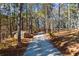 Long driveway leading to home through wooded area at 2529 Piney Grove Rd, Loganville, GA 30052