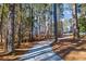 Gravel driveway, wooded setting at 2529 Piney Grove Rd, Loganville, GA 30052