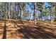 Wooded area with tall pine trees at 2529 Piney Grove Rd, Loganville, GA 30052