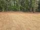 Expansive backyard with newly laid sod, offering potential for outdoor activities at 1320 Melbenan Dr, Atlanta, GA 30311