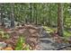 Gravel pathway winds through a wooded backyard at 314 Sandalin Ln, Peachtree City, GA 30269