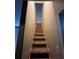 Carpeted stairway leading to the upper level at 3246 Wallace Lake Rd, Douglasville, GA 30135