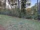 Landscaped backyard with trees and new sod at 3311 Cranston Ln, Kennesaw, GA 30144