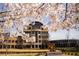 Kennesaw State University's Kennesaw Hall is shown with blooming cherry blossoms in the foreground at 3305 Cranston Ln, Kennesaw, GA 30144