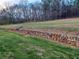 Long stone wall and grassy area in front of home at 650 Kingston Highway, Kingston, GA 30145