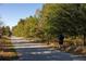 Scenic view of a pedestrian path lined with mature trees, offering a tranquil setting for walking, jogging, or recreation at 1288 Almont Sw Dr, Atlanta, GA 30310