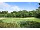 Putting green overlooking a pond and lush trees at 134 Amherst Nw Pl, Atlanta, GA 30327