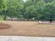 Pond view with Canadian geese near a picnic table at 1356 Lucan Ln # Wc226, Lawrenceville, GA 30043