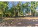 Backyard with mature trees and a partially visible fence at 2833 Lynda Pl, Decatur, GA 30032