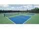 Modern pickleball courts with blue surface and green surrounds at 2798 Turnwater St, Hoschton, GA 30548
