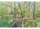 Private wooded area behind property provides a peaceful setting at 9970 Groomsbridge Rd, Johns Creek, GA 30022