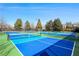 Enjoy friendly competition on well-maintained pickleball courts at 6870 Colfax Ave, Cumming, GA 30040