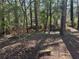 Wooded backyard with a large stone and small clearing at 3705 Daisy Dr, Decatur, GA 30032