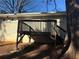 Back deck with steps leading to the ground at 3705 Daisy Dr, Decatur, GA 30032