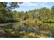 Picturesque pond surrounded by lush trees at 3282 Callie Still Rd, Lawrenceville, GA 30045