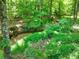 Serene wooded area featuring a gently flowing stream at 1590 Highland Farm Dr, Suwanee, GA 30024