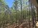 View of lush surrounding forest creates a feeling of privacy and immersion in nature at 160 Cedarwood Ln, Roswell, GA 30075