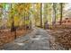 Private driveway with security gate winding through a wooded landscape, offering a sense of seclusion at 115 Russell Rd, Roswell, GA 30075