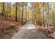 Secluded driveway disappearing into a forest, creating a private entrance at 115 Russell Rd, Roswell, GA 30075