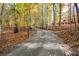 Gated driveway leading to an expansive estate, showcasing privacy and natural beauty at 115 Russell Rd, Roswell, GA 30075