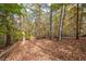 Beautifully wooded area with mature trees offering privacy at 115 Russell Rd, Roswell, GA 30075