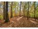 Wooded area landscape showing mature trees at 115 Russell Rd, Roswell, GA 30075