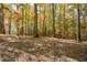 Landscape of wooded area with large trees at 115 Russell Rd, Roswell, GA 30075