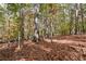 Beautifully wooded area with mature trees offering privacy and a scenic view at 115 Russell Rd, Roswell, GA 30075
