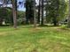 Large backyard with green grass and mature trees at 35 Fairfield Dr, Ellenwood, GA 30294