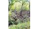 Image shows a dense forest with fallen logs and lush undergrowth at 20 Mountain Ridge Ne Rd, White, GA 30184