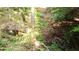 Image shows a small stream running through a wooded area at 20 Mountain Ridge Ne Rd, White, GA 30184