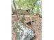 Image of a rocky hillside in a wooded area at 20 Mountain Ridge Ne Rd, White, GA 30184