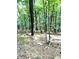 Image shows a wooded area with pine needles and some small trees at 20 Mountain Ridge Ne Rd, White, GA 30184