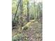 A trail winds through a densely wooded area at 20 Mountain Ridge Ne Rd, White, GA 30184