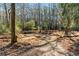 Open wooded area with leaf-covered ground at 3133 Callie Still Rd, Lawrenceville, GA 30045