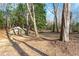Pathway through woods with large rock and leaf litter at 3133 Callie Still Rd, Lawrenceville, GA 30045