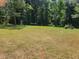 Large backyard with mature trees and playset at 155 Vinnys Way, Covington, GA 30014