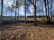 Backyard with leaf covered ground and a view of a wooden privacy fence at 3965 Pecan Rd, Loganville, GA 30052