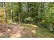 Wooded backyard with chain link fence at 2849 Crescendo Nw Dr, Atlanta, GA 30318