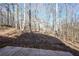 Wooded backyard view from patio at 850 Oxford Hall Dr, Lawrenceville, GA 30044