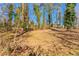 Large backyard with mature trees and a partially sunny exposure at 2668 Woodfen Dr, Ellenwood, GA 30294