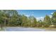 Well-maintained tennis court with blue surface, surrounded by mature trees and chain link fence at 4450 Millenium View Ct, Snellville, GA 30039