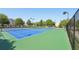 Well-maintained blue tennis courts in a community with mature trees at 5534 Radford Loop, Fairburn, GA 30213