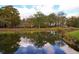 Picturesque view of a calm pond reflecting trees, sky and the neighboring homes at 2812 Highway 16 E, Sharpsburg, GA 30277