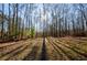 Wooded backyard with tall trees and sunlight at 2183 Hampton Se Trl, Conyers, GA 30013