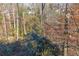 Wooded backyard view with a creek running through the property at 1550 Park Creek Ne Ln, Brookhaven, GA 30319