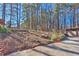 Wooded side yard with mature trees and landscaping at 3749 Kayanne Ct, Tucker, GA 30084