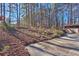 Landscaped side yard with mature trees and wooded area at 3749 Kayanne Ct, Tucker, GA 30084